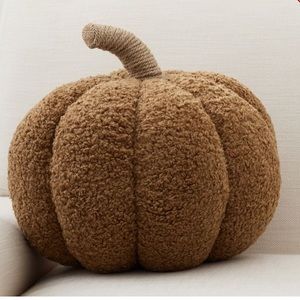 Pottery Barn Pumpkin Pillow